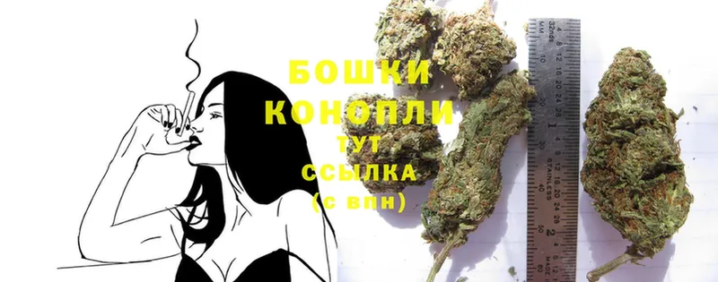 МЕГА вход  Богородск  Бошки марихуана White Widow 